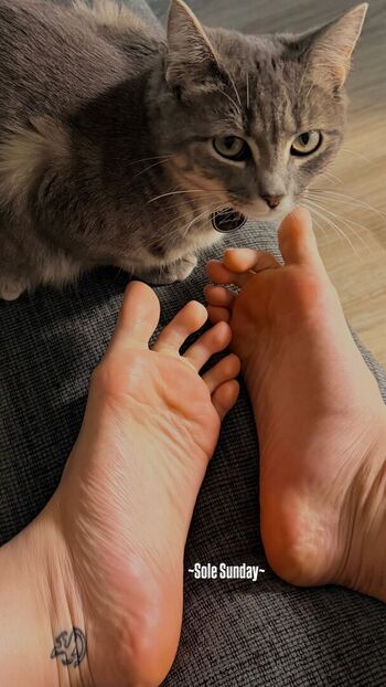 Tray fitfever tray soe leaked private content